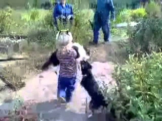 девочка спасла кота