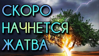 Срочное послание с небес.Скоро начнется жатва.