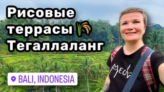 🌾 18. Рисовые террасы Тегаллаланг – отправляемся в новое приключение! Духи работают. Поцелуй Бали.