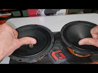 Панчёвый громкий широкополосник DL Audio Raven 200 v2
