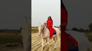 punjabi girl horse ride in suit salwar
