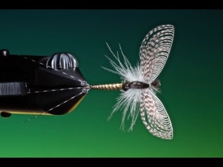 Fly Tying a mayfly dry fly spinner with Barry Ord Clarke