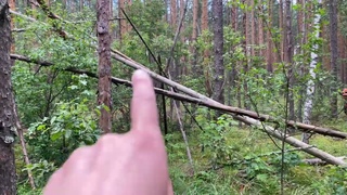 Шалаши маркеры снежного человека. Владимирская область . Появился третий шалаш йети