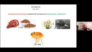 Вся правда про аллергию