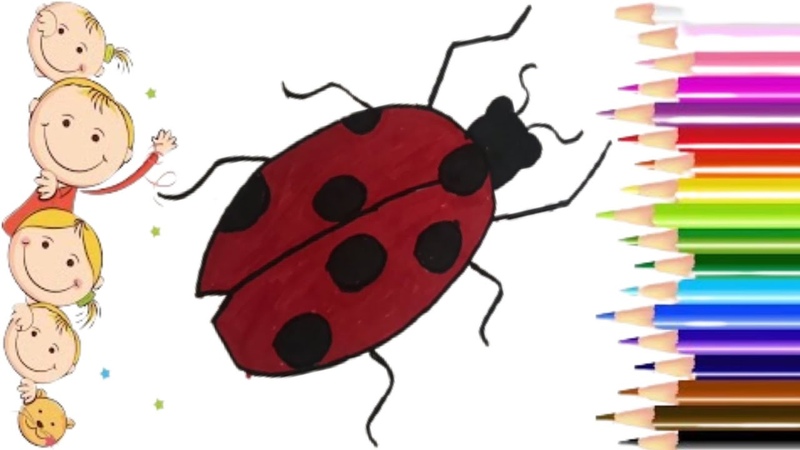 How to draw a