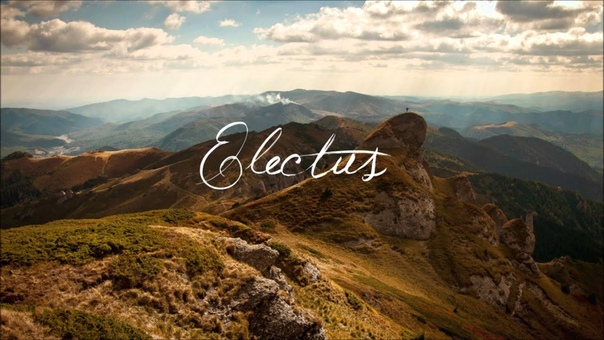 Electus
