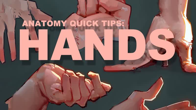 Anatomy Quick Tips: