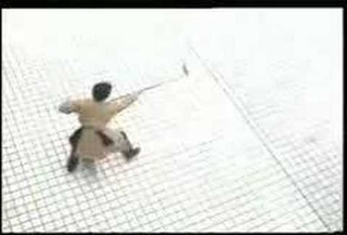 Part of Bagua spear