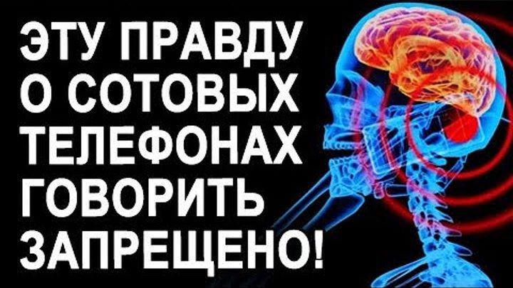 Мыши дохнут, людям ОК Ученые бьют тревогу: последствия