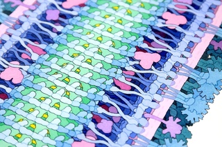 Illustrating Ebola - David S Goodsell