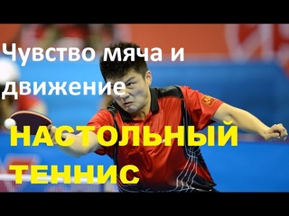 Настольный теннис. Чувство мяча и дистанция. Топ-спин справа