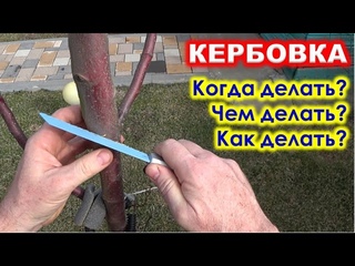 КЕРБОВКА. Когда делать кербовку ЧЕМ делать КЕРБОВКУ Как делать кербовку