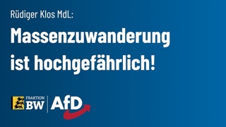 Ungeregelte Massenzuwanderung ist hochgefhrlich!