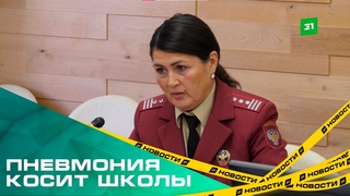 Пневмония косит школы. В Челябинской области на дистант перевели уже 9 учебных заведений