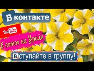 ВСЁ, что Вам необходимо, теперь есть в паблике ВКонтакте - КАТАЛОГ уже там..ПОДПИШИСЬ в ряды первых!