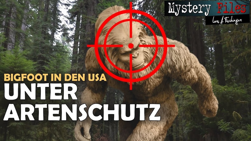 Vom Aussterben bedroht County in den USA erklärt sich zum Schutzgebiet für den Sasquatch (