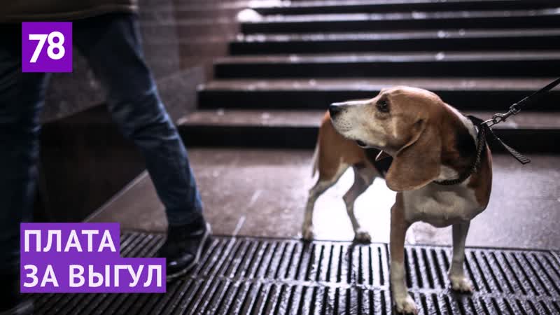 Плата за