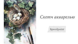 Гнездо акварелью. Таймлапс