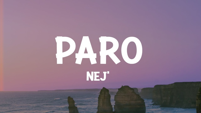 NEJ Paro (