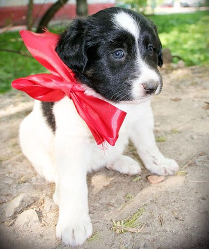 Ирина Орехова | Калуга