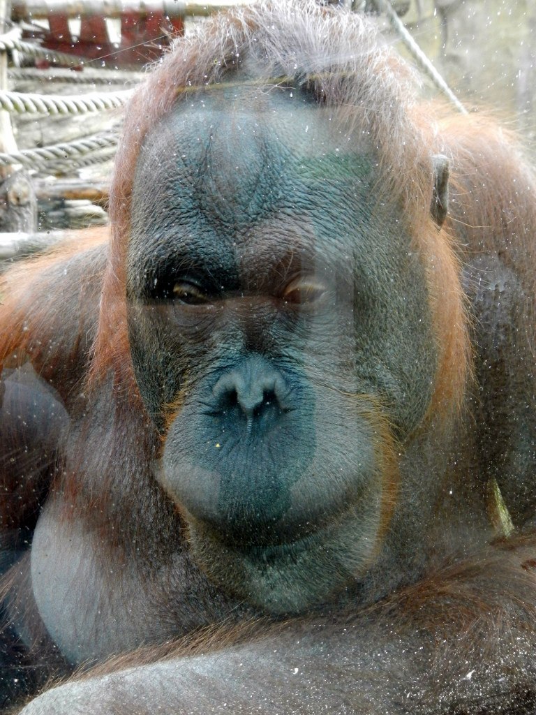 Фаина Мельникова |