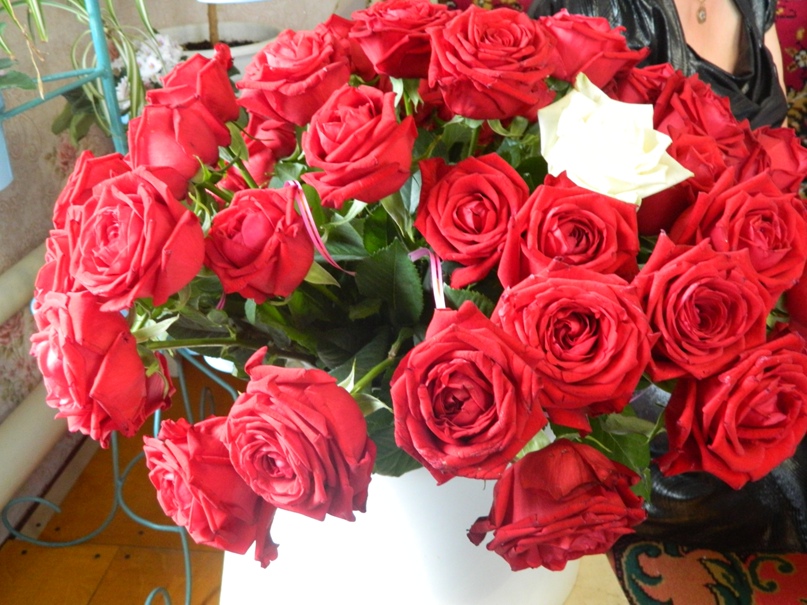 Эльвира Нигматуллина | Барда