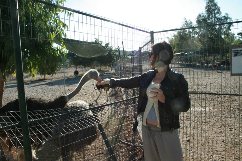 Янина Черепанова !!Черепанова!! | Санкт-Петербург