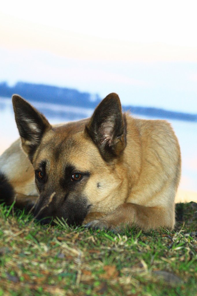 Павел Олегович | Санкт-Петербург