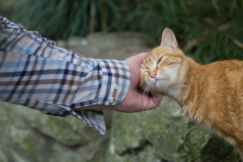 Дмитрий Николаев | Illertissen