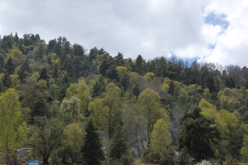 Максим Степанцов | Томск