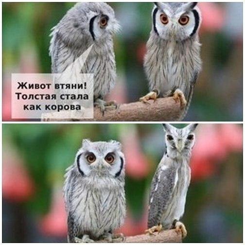 Юля Ефимова | Рязань