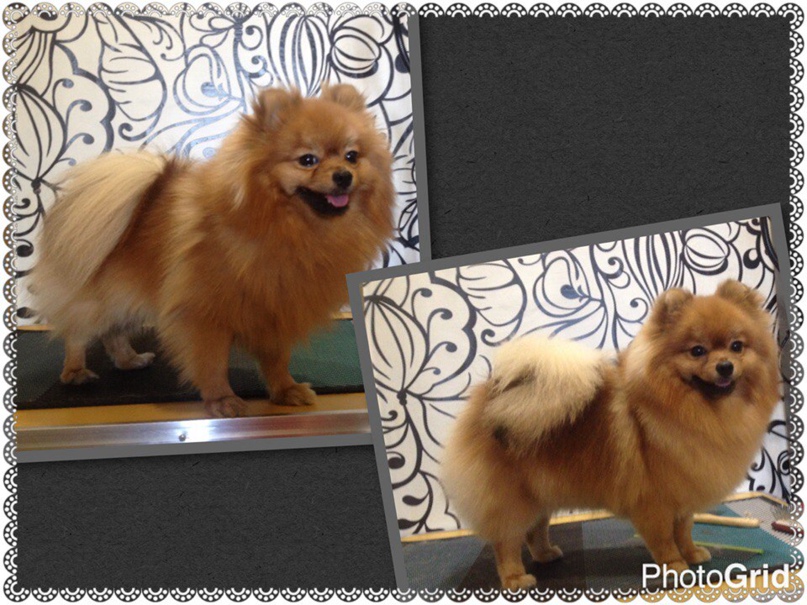 Наталья Фигурская | Санкт-Петербург