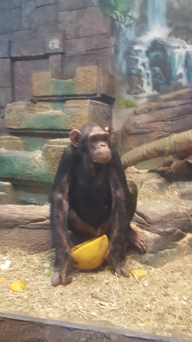 Александра Новохацкая | Сергиев Посад