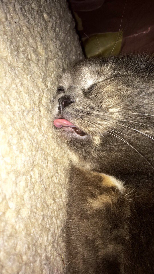 Ирина Уханова | Петрозаводск