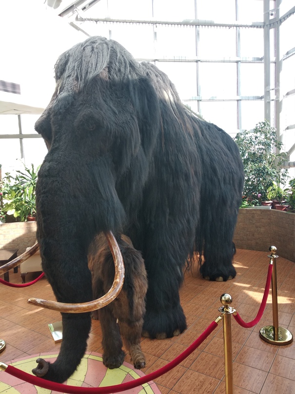 Роман Александров | Nairobi