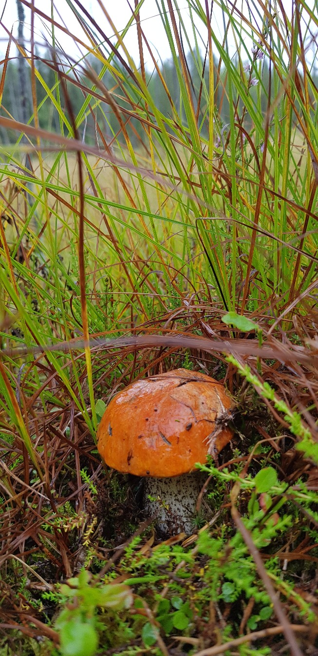 Евгения Селюгина | Санкт-Петербург