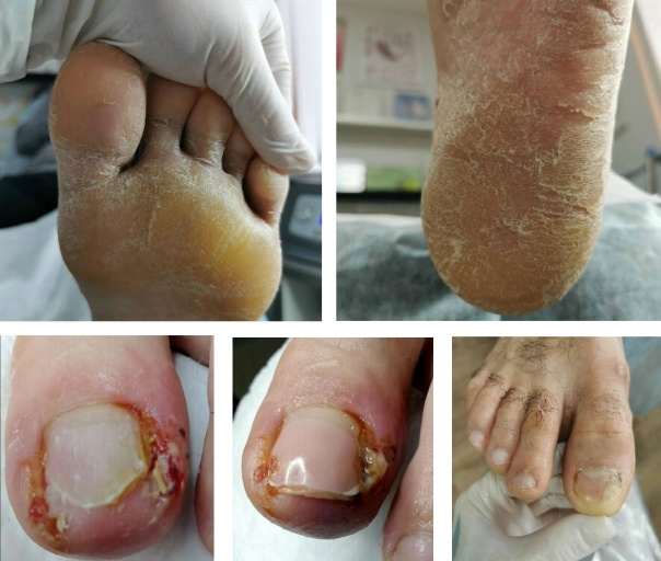 ?Коноша Приём подолога в ЯНВАРЕ? 24 ЯНВАРЯ С 9 ДО 20...