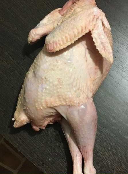 Мясо цесарки фото Мясо цесарки фото