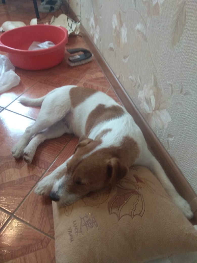 Оксана Овечкина | Санкт-Петербург