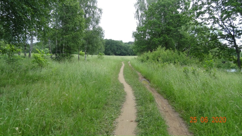 Ruslan Medvedev | Покров