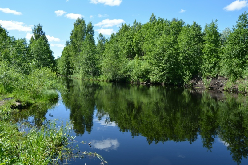 Лана Соколова | Санкт-Петербург