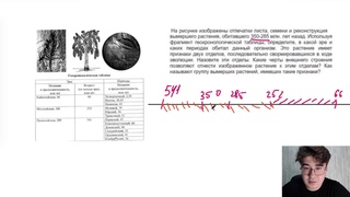Геохронологическая шкала + теории происхождения жизни
