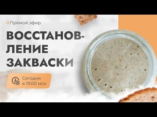 День 5 - Восстановление закваски.