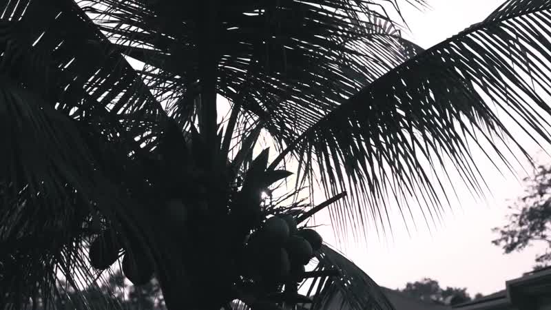 Hill Top. GOA.