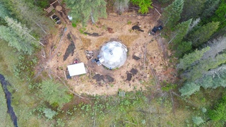 Planting 300 Potatoes in the Forest, Early June Forest Garden Tour