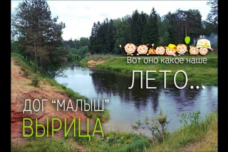 Вот оно какое наше лето! Вырица