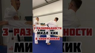 3 разновидности мидл кик в киокусинкай #kyokushin #боецкиокушин