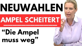 💥 Ampel Regierung vor dem AUS! Massive Unzufriedenheit mit SPD, FDP & Grüne 💥