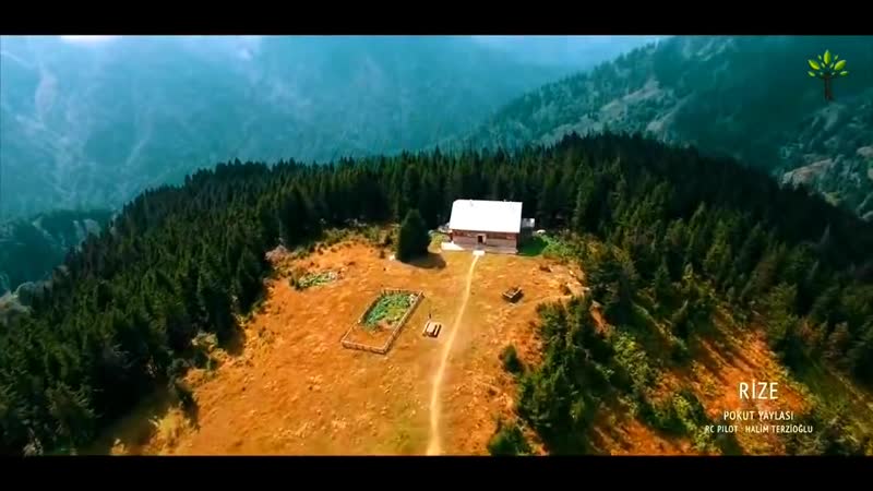 Tom Lacy Cosmic Dreamer. Love Travel magic fly trance