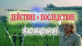 КОКАИН (2001) «ЖИЗНЬ - это БУМЕРАНГ поступков и желаний!»